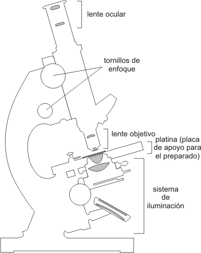Fig.1.17 Esquema de Microscopio Óptico