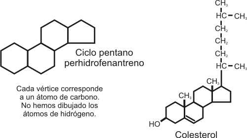 Fig. 2.23- Ciclopentanoperhidrofenantreno y Colesterol