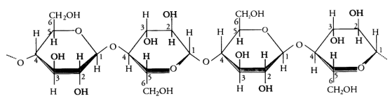 Fig. 2.31- Celulosa
