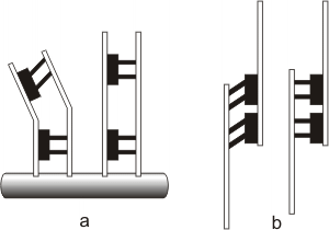 Fig. 6.13 - Microtúbulos asociados a proteínas motoras. 