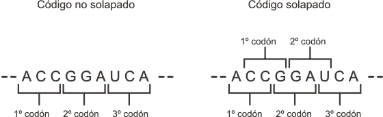 Fig. 11.2 - Solapamiento del código